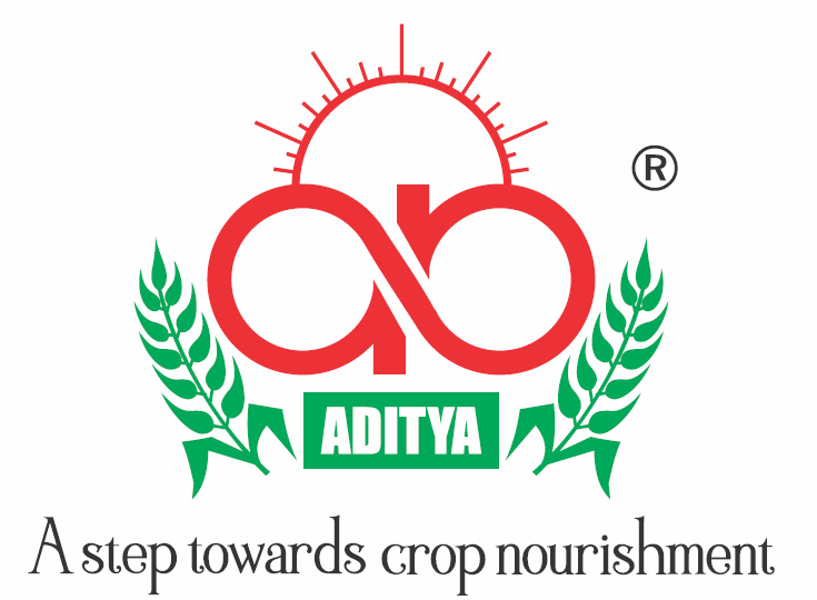 Aditya Micro Dynamic